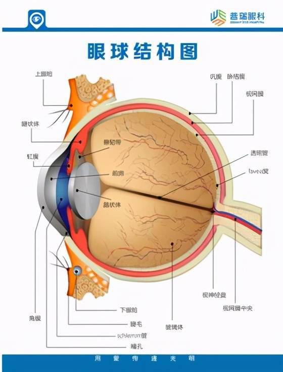 远离赌博漩涡，拥抱健康人生