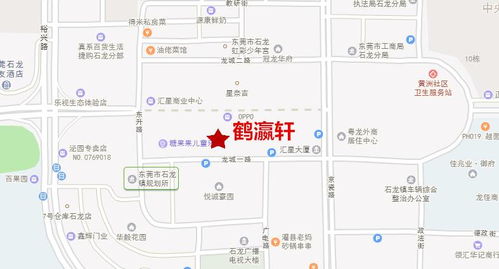 鑫龙门店数量大揭秘，深入探究商业版图